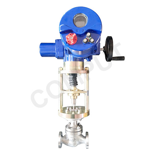 �¶�����������